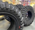 CST Tires Dragon Claw CL24X