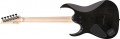 Ibanez RGA21P1PB