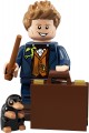 Lego Harry Potter and Fantastic Beasts Series 1 71022