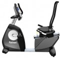 Tunturi Platinum Recumbent Bike PRO