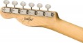 Fender Jimmy Page Telecaster