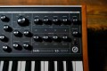 Moog Subsequent 25