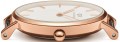 Daniel Wellington DW00100228