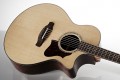 Ibanez AE2912