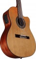 Alvarez AC65CE