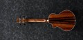 Ibanez UEW13MEE