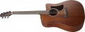 Ibanez AAD440CE