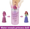Disney Princess Color Reveal Dolls HMB69