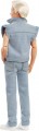 Barbie Ken HRF27