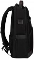 Samsonite Pro-DLX 6 15.6 15L