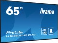 Iiyama ProLite LH6560UHS-B1AG