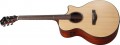 Ibanez AE410