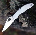 Spyderco Byrd Harrier 2 Stainless