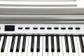 Kurzweil CUP P1