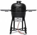 KOLER Kamado EG22-GAS