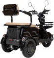 Atlas Elegant Trike 800W