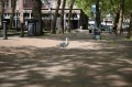 Panasonic 24-60mm f/2.8 Lumix S