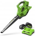 Greenworks GD24X2BVK4X 2405307UD