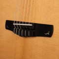 Cort Gold OC8 Nylon