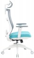 OfficePro Balance OC550