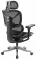 ADAPWORK S7 Mesh Senior ErgoChair