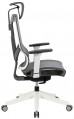 ADAPWORK M1 Mesh Middle Ergochair