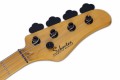 Schecter Model-T Session