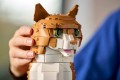 Lego Orange Cat 21376