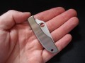 Spyderco Grasshopper