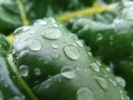 фото сделанное Canon PowerShot G16