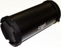 CIGII S11B