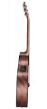 Baton Rouge AR31C/ACE