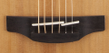 Takamine GN20