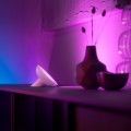 Philips Hue Bloom