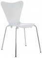 SDM Ant