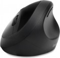 Kensington Pro Fit Ergo Wireless Mouse