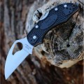 Spyderco Byrd Robin 2 Wharncliffe