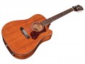 Guild D-120CE