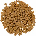 Savory Adult Cat Gourmand Fresh Salmon/White Fish 2 kg