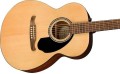 Fender FA-135