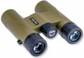 Carson Stinger 10x25