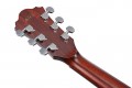 Ibanez AE410