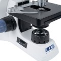 DELTA optical Genetic Bino