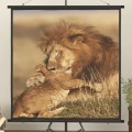 VidaXL Screen 135x140