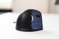 Evoluent 4 Small Wireless Vertical Mouse