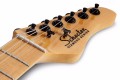Schecter PT