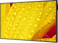 NEC MultiSync M431-2
