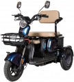 Atlas Elegant Trike 800W