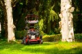 Cedrus KS56S-H