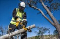 DeWALT DCM565N